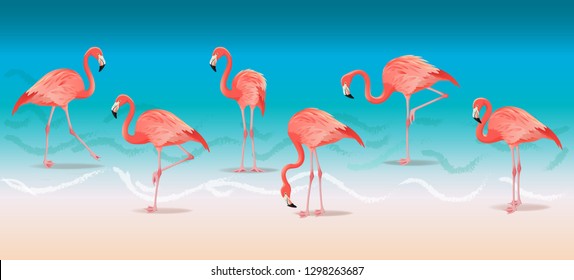 Exotic pink flamingos walking on the hot summer beach. Pink flamingos set vector illustration