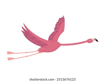 exotic pink flemish bird flying isolated