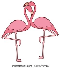 exotic pink flemish couple birds with romantic pose