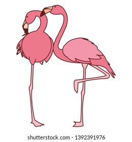 exotic pink flemish couple birds with heads up