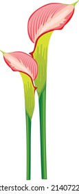 Exotic pink flower bud. Realistic lily blossom