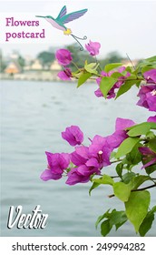 Exotic pink flowers. Postcard 