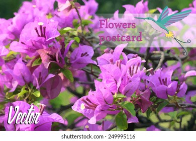 Exotic pink flowers. Postcard 