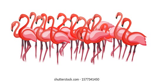 Exotic pink purple flamingo birds crowd group gathering flamboyance. Long neck, beak, body, feather drawing. Summer party banner poster promo advertice or web block design isolated on white