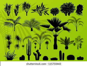 Exotic plant, bush, palm tree and cactus detailed illustration collection background vector