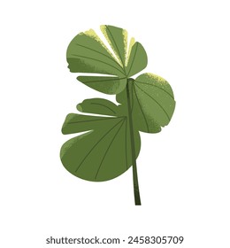 Exotic plant with large leaf. Green branch, natural floral design element. Tropical greenery, botanical decor. Trendy foliage vegetation, leaves. Flat vector illustration isolated on white background