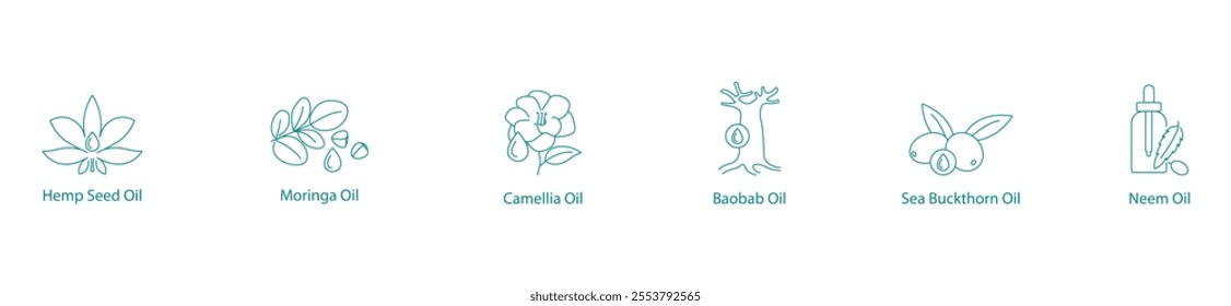 Exotic Plant Oils Vector Icon Set: Hemp, Moringa, Camellia, Baobab, Sea Buckthorn, Neem