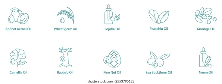 Exotic Plant Oils Vector Icon Set: Apricot Kernel, Wheat Germ, Jojoba, Pistachio, Moringa, Camellia, Baobab, Pine Nut, Sea Buckthorn, Neem