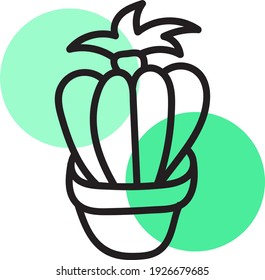 Exotic plant in a pot, illustration, vector on white background.