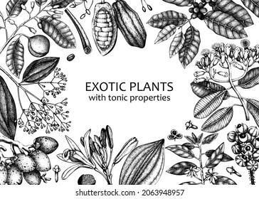 Exotic plants background with hand-sketched contour lines. Realistic vector illustration in vintage style. Horizontal banner with adaptogenic, medicinal, tonic, and spice plants. On white background.