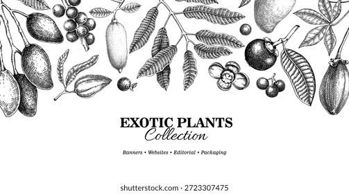 Fondo de plantas exóticas. Frutas tropicales y hojas de palma dibujadas a mano Ilustraciones vectoriales. Diseño de Anuncio botánico. NO se ha generado IA