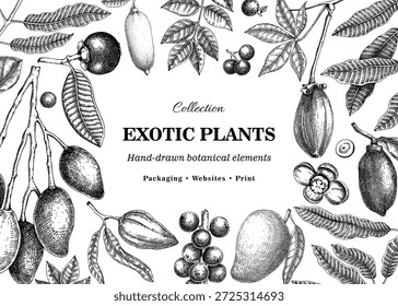 Projeto de estrutura de plantas exóticas. Frutas tropicais e folhas de palmeira desenhadas à mão ilustrações vetoriais. Fundo botânico. NÃO gerado AI