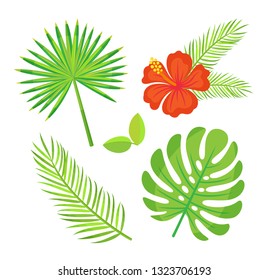 Exotic plants monstera green leaves vector, flower with palm tree branch. Decoration in tropical style. Flourishing flora, greenery and red blooming