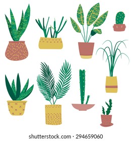 Exotic plants in pots. Succulents, cactus, palm. With hand drawn texture.