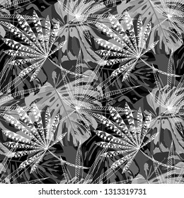 Exotic Plants. Seamless Pattern with Australian Rainforest. Modern Black and White Texture for Print, Swimwear, Underwear. Vector Tropical Pattern.