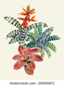 exotic plants set