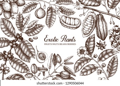 Exotic plants vector design. Hand drawn spices, fruits, beans, nuts, seeds, flowers, leaves illustrations. Vintage frame with botanical elements. Food and drinks ingredients.