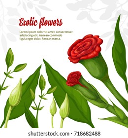 Exotic plants. Vector illustration. Hand-drawn
