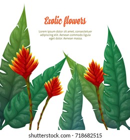 Exotic plants. Vector illustration. Hand-drawn