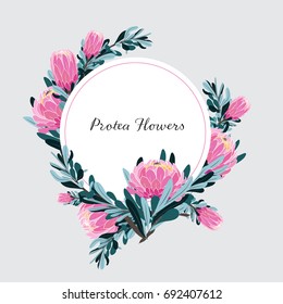 Exotic protea flowers
