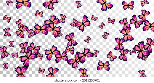 Exotic purple butterflies flying vector wallpaper. Summer vivid moths. Wild butterflies flying fantasy background. Tender wings insects patten. Nature creatures.