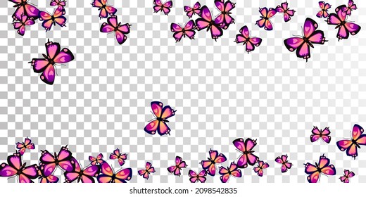 Exotic purple butterflies flying vector illustration. Spring little insects. Simple butterflies flying fantasy background. Tender wings moths patten. Fragile creatures.