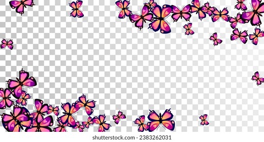 Exotic purple butterflies isolated vector illustration. Spring vivid moths. Fancy butterflies isolated dreamy background. Tender wings insects patten. Nature creatures.