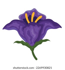 exotic purple flower garden nature