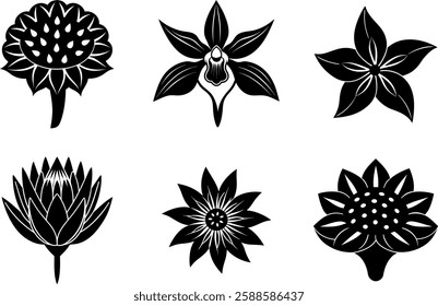 Exotic and Rare Flower Silhouette Set