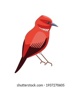 Exotic red bird Apapane Hawaiian Honeycreeper. Rare bird of the critically endangered Apapane Endemic Bird of the Hawaiian. Cartoon flat vector illustration isolated on white background.