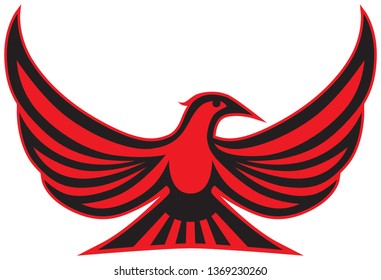 An exotic red and black bird is spreading it's wings