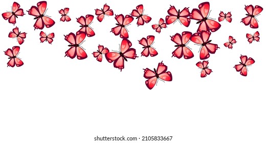 Exotic red butterflies isolated vector illustration. Spring cute insects. Detailed butterflies isolated baby background. Delicate wings moths graphic design. Tropical creatures.