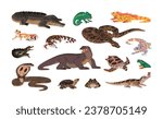 Exotic reptiles set. Amphibian animals, snakes, lizards. Tropical fauna: crocodile, turtle, iguanna, gecko, varanus, cobra, anaconda, horned toad, frog. Flat isolated vector illustration on white