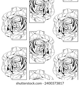 Exotic roses flowers illustration. Black white line seamless pattern. White background.