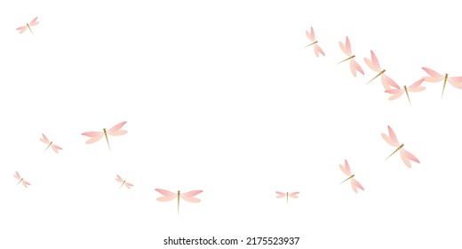 Exotic rosy pink dragonfly isolated vector background. Spring ornate damselflies. Simple dragonfly isolated baby illustration. Delicate wings insects patten. Nature creatures