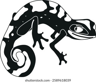 Exotic salamander black-and-white vector illustration