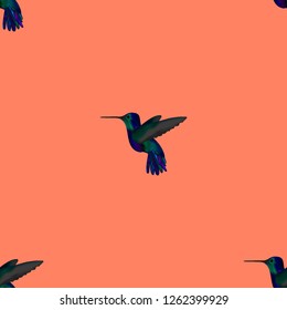 Exotic seamless pattern of Hummingbird. Vector background of bright little birds.