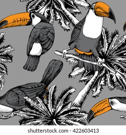 Exotic seamless pattern with a image of palm and toucans on gray background. Vector illustration.