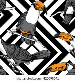 Exotic seamless pattern with image of a toucans on a geometric background. Vector illustration.