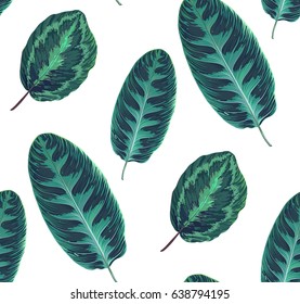 Exotic seamless pattern with leaves. Botanic texture. Repeat tropical background.  Jungle plants. Green foliage. Decorative illustration with branches.