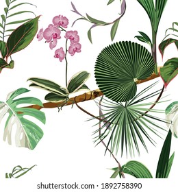Exotic seamless pattern. Phalaenopsis variegata orchid tropical flowers in summer print. Hawaiian t-shirt and swimwear tile. Hypernatural botanic design.