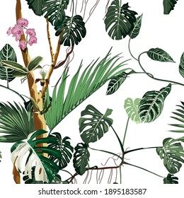 Exotic seamless pattern. Phalaenopsis variegata orchid tropical flowers and monstera palm leaves in summer print. Hawaiian t-shirt and swimwear tile. Hypernatural botanic design.