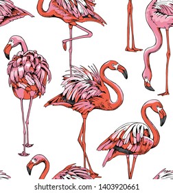 Exotic Seamless pattern. Pink Flamingo. Textile composition, hand drawn style print. Vector illustration.