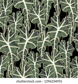 Exotic seamless pattern. Realistic floral illustration with rein forest plants leaves. Black background.