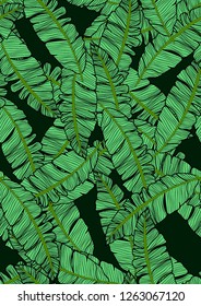 Exotic seamless pattern with tropical banana leaves. Hawaiian plants. Botanical background for covers, wallpapers and fabrics. Tropical Leaf Sketch.
