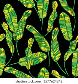 exotic seamless pattern of Tropical palms leaves.; Colorful Hand drawn vector background with feathers. Decorative design