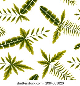 patrón tropical exótico sin costuras con hojas verdes y planta sobre fondo blanco. Diseño abstracto moderno para tejidos, papel y decoración interior. El hawaiano veraniego colorido. Diseño de verano. textura de moda