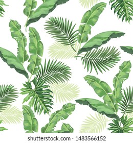 Exotic seamless vector pattern with palm and banana leaves. Vector summer background.
