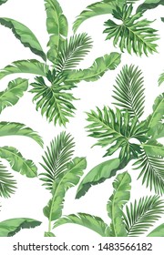 Exotic seamless vector pattern with palm and banana leaves. Vector summer background.