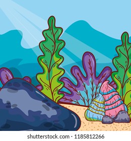 exotic seaweed plants with shells and stone